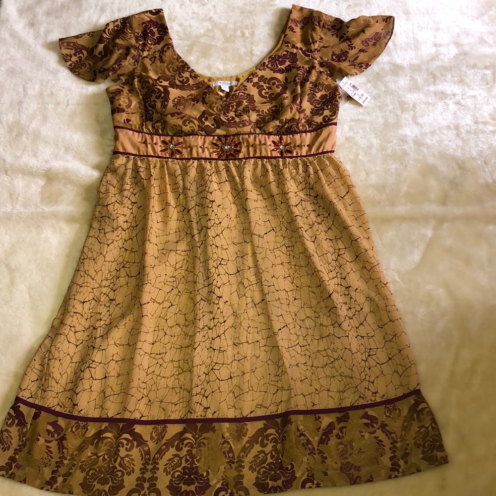 NWT Dressbarn V-Neck Dress